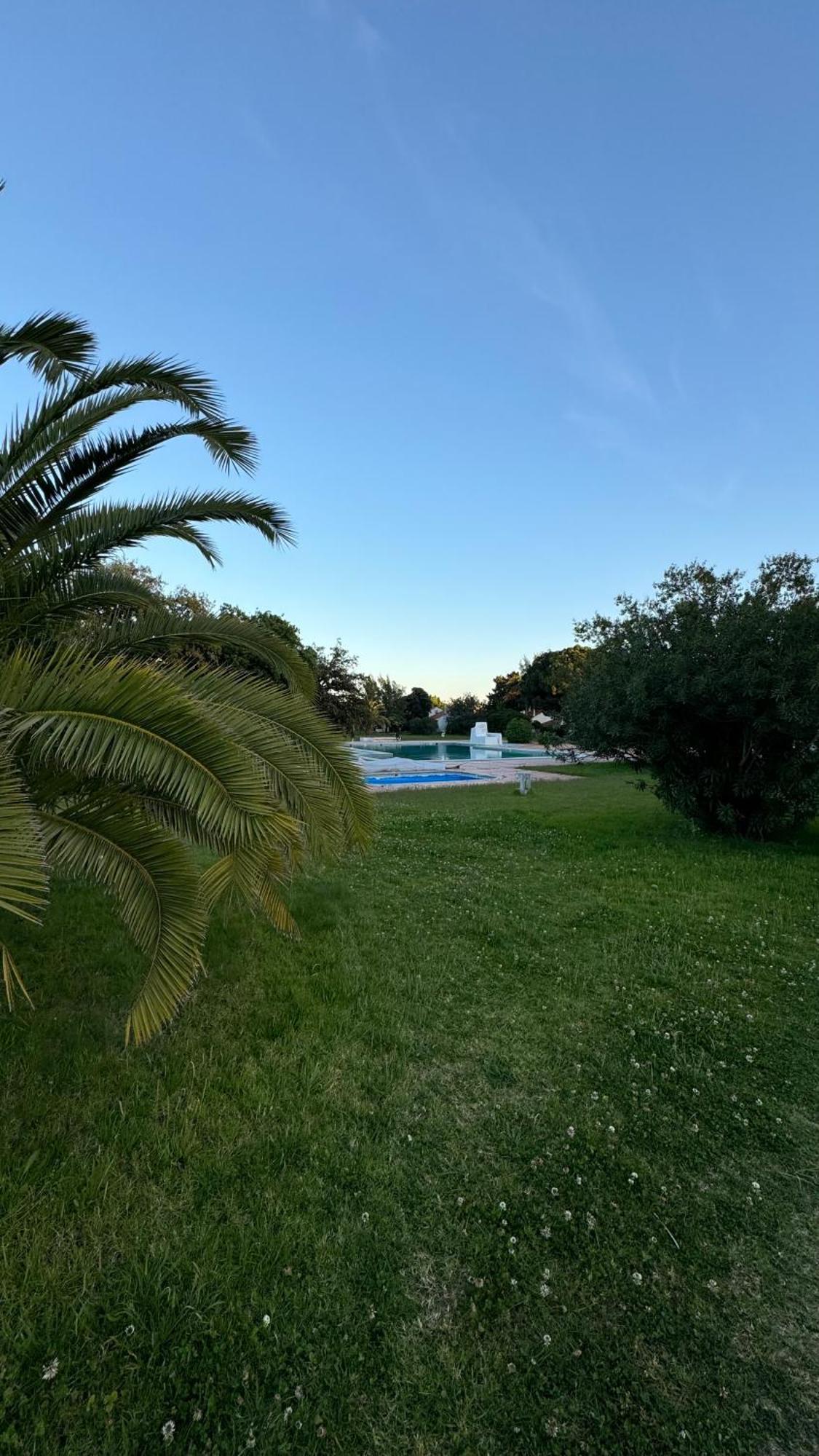 New Algarvegas Paradise Apartment Albufeira Buitenkant foto